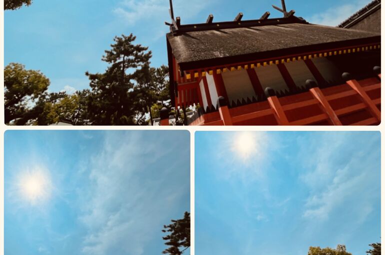 56723133-211F-435C-880D-C3570F1F0B7A