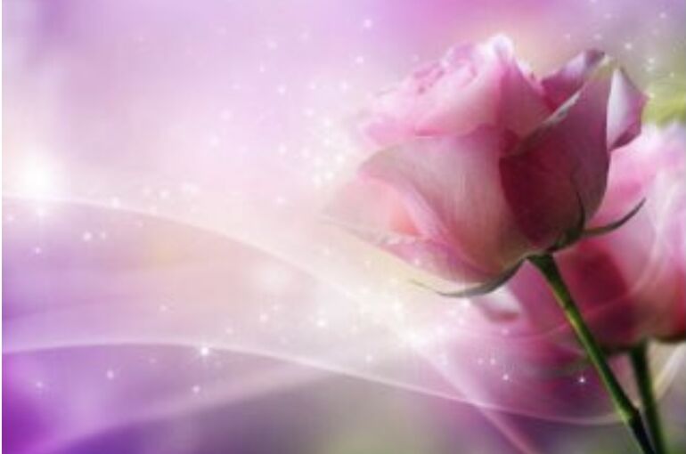 E621A3B8-72B4-47FC-A875-90130A0679CB
